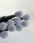 Elysee Z Beauty Microbrushes (100 Count) HIGH QUALITY