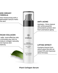 Plant Collagen Cream